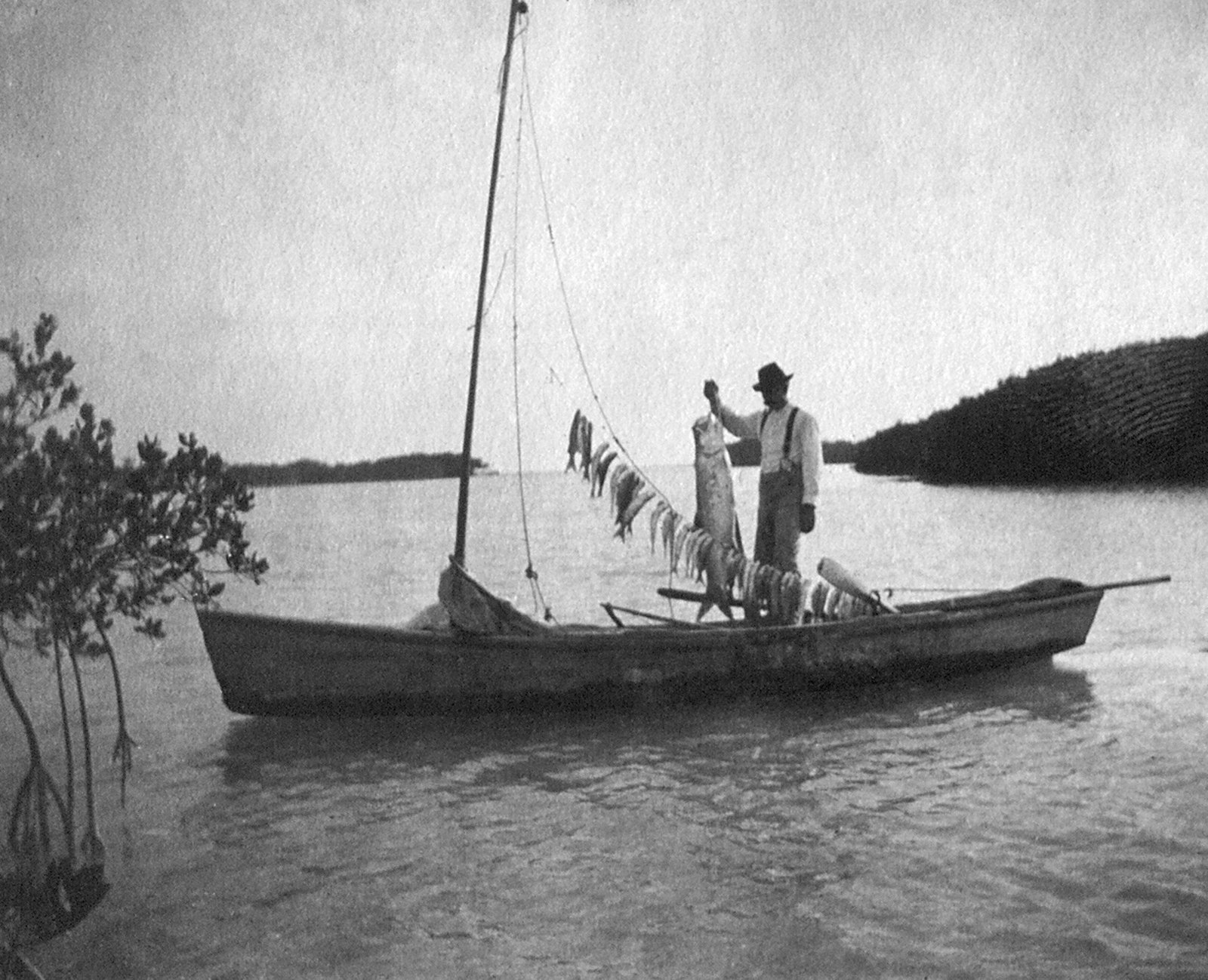 Black and white photograph of a fisherman standing in a small wooden sailboat holding up a large fish, taken off Knights Key