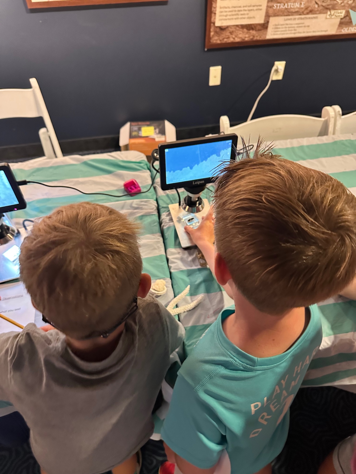 Two campers share a digital microscope station