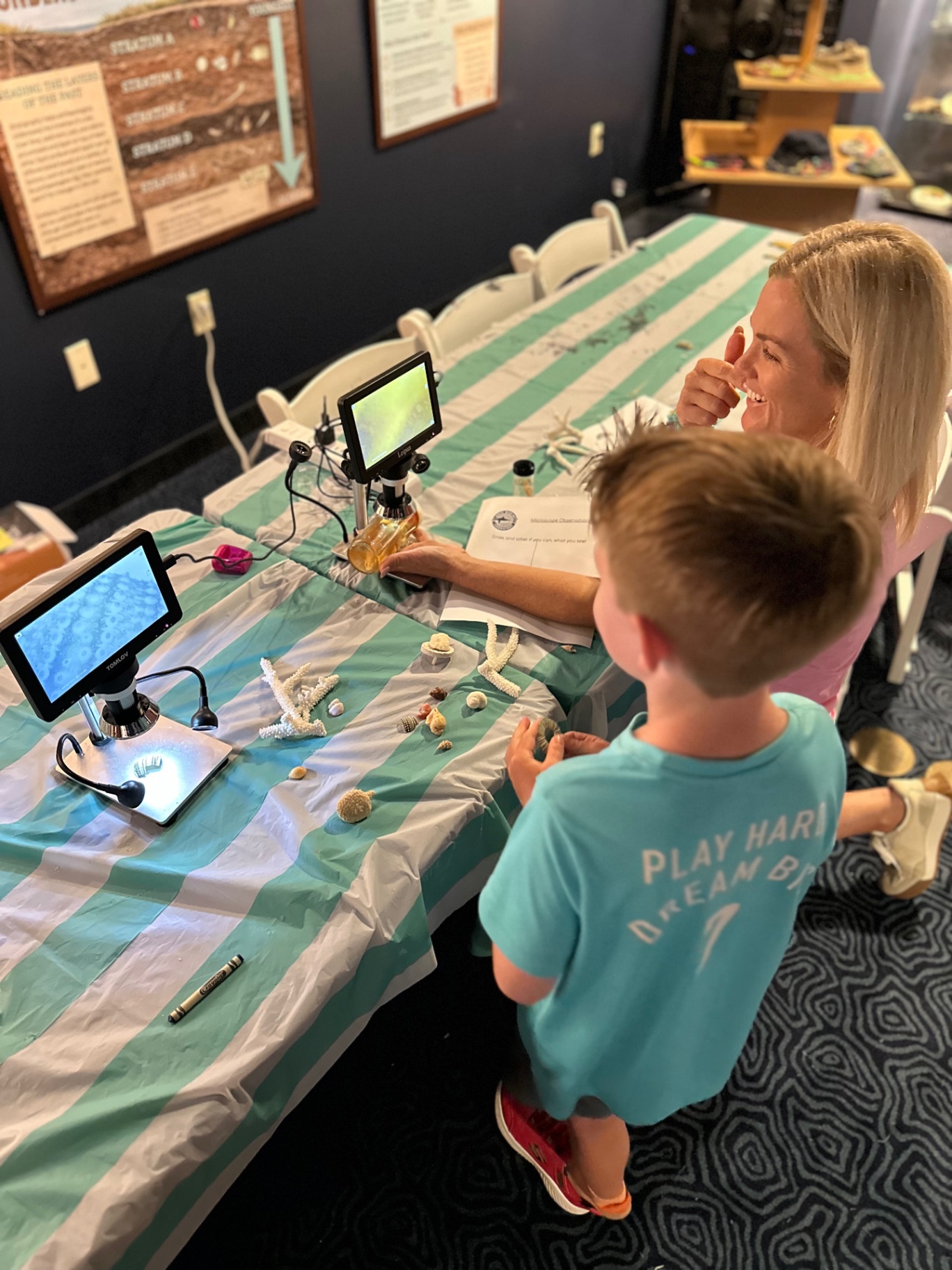 A camper examines shells and coral specimens with a digital microscope