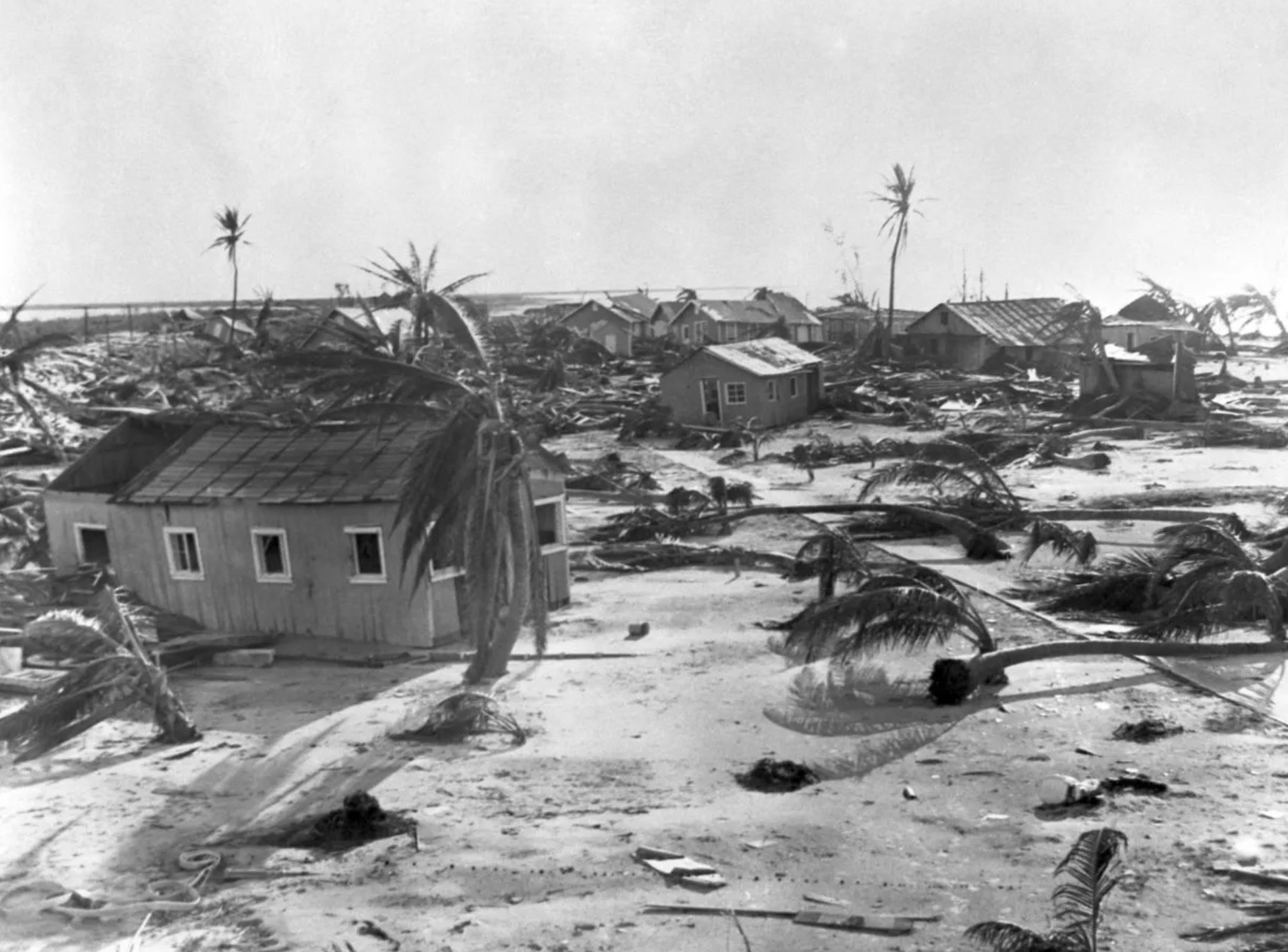 Black-and-white photograph of the hurricane's aftermath: snapped and flattened coconut palms, debris strewn across open sand, and damaged wooden cottages with empty window frames