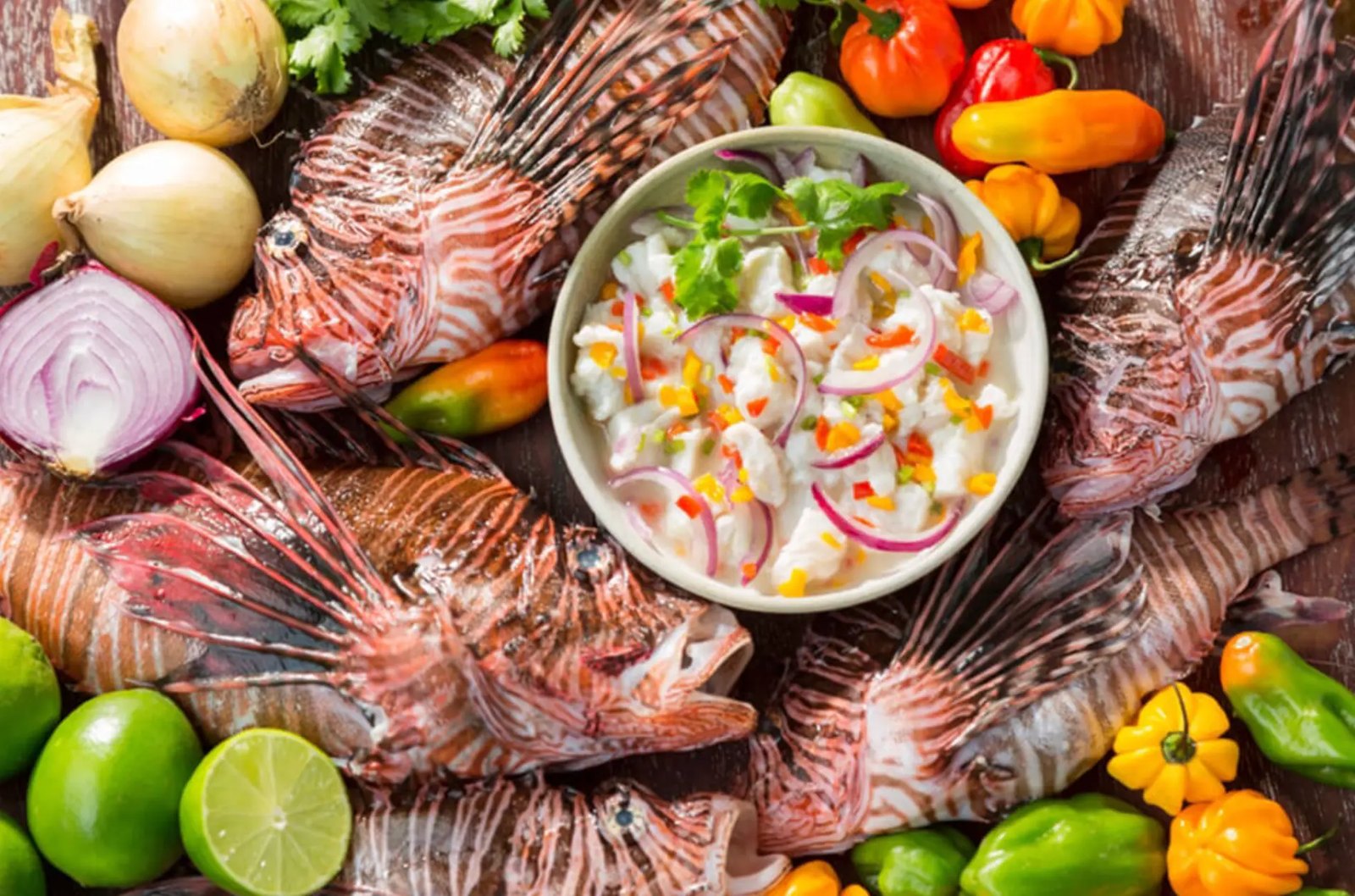 Whole raw lionfish arranged around a bowl of ceviche garnished with red onion, peppers, cilantro and lime